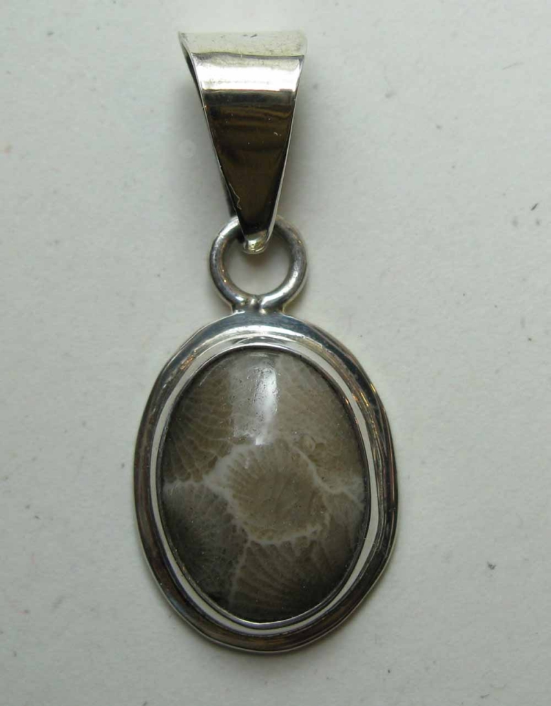 Petoskey Stone Cabochon Pendant in Silver Frame